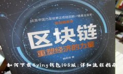 如何下载Bying钱包iOS版：详