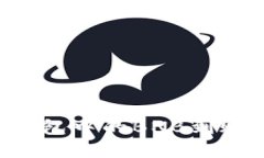 为什么我的TP钱包中的BN
