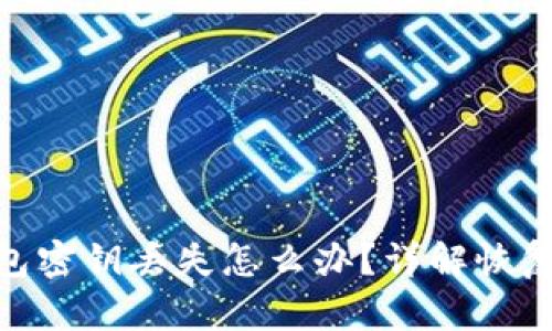 : 以太坊钱包密钥丢失怎么办?详解恢复和预防措施