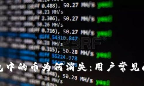 : TP钱包中的币为何消失:用户常见问题解析