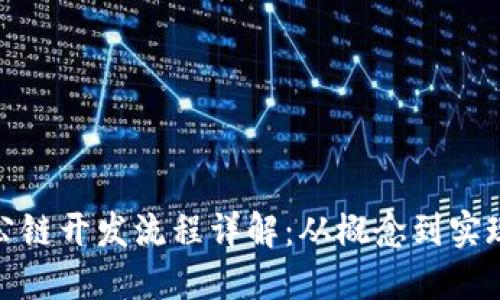 数字货币公链开发流程详解:从概念到实现的全流程