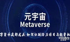 数字货币底部龙头：如何