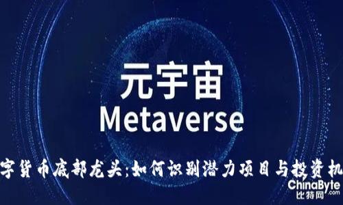 数字货币底部龙头:如何识别潜力项目与投资机会