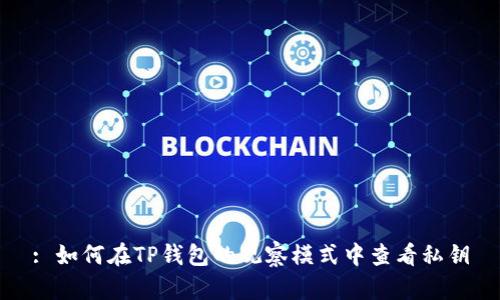 : 如何在TP钱包的观察模式中查看私钥
