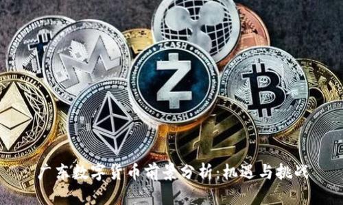广东数字货币前景分析:机遇与挑战