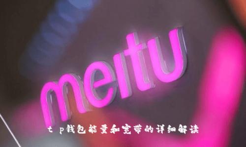 t p钱包能量和宽带的详细解读