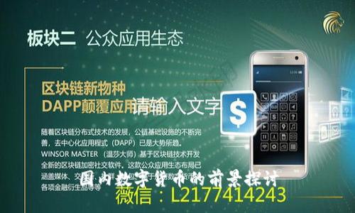 国内数字货币的前景探讨