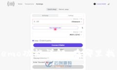 tP钱包中的Memo功能详解：