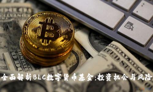 全面解析BLC数字货币基金:投资机会与风险