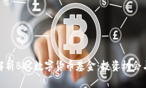 全面解析BLC数字货币基金:投资机会与风险
