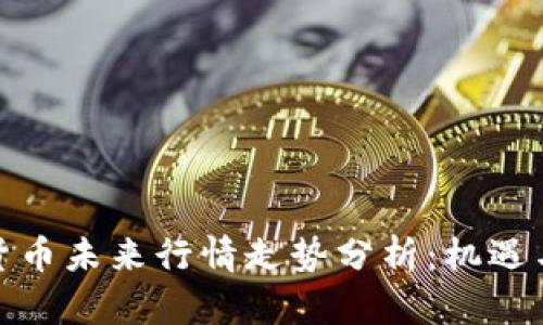 数字货币未来行情走势分析:机遇与挑战