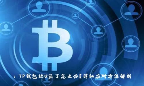 : TP钱包被U盗了怎么办？详细应对方法解析