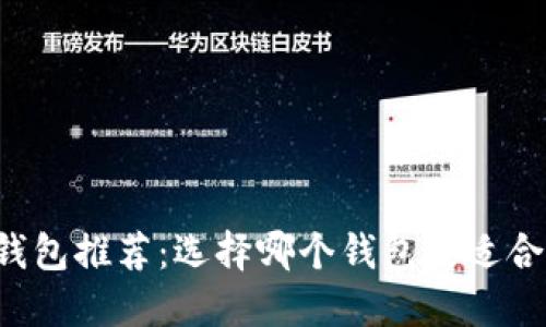 虚拟货币钱包推荐：选择哪个钱包更适合您的需求？