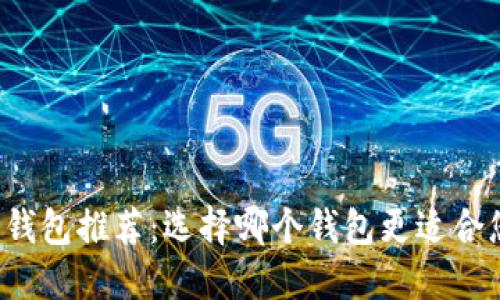 虚拟货币钱包推荐：选择哪个钱包更适合您的需求？