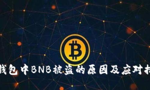 TP钱包中BNB被盗的原因及应对措施