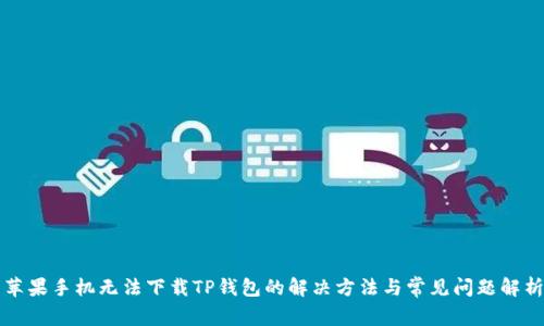 苹果手机无法下载TP钱包的解决方法与常见问题解析