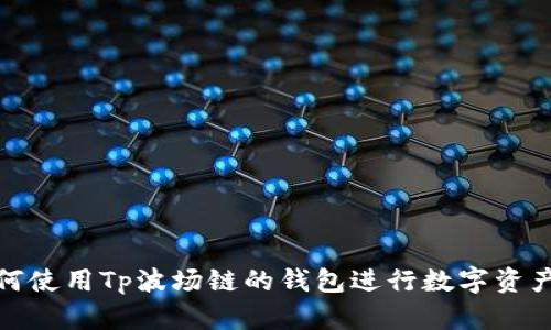 : 如何使用Tp波场链的钱包进行数字资产管理