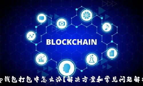   
tp钱包打包中怎么办？解决方案和常见问题解析