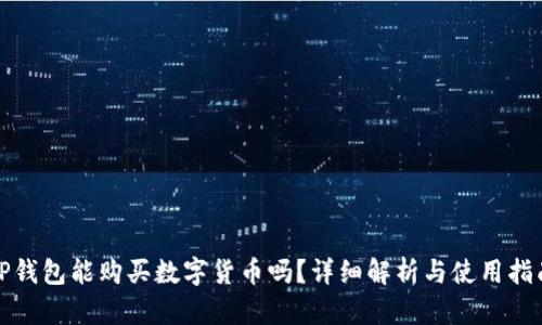 TP钱包能购买数字货币吗？详细解析与使用指南