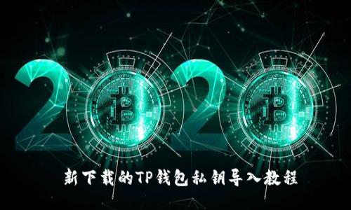 新下载的TP钱包私钥导入教程
